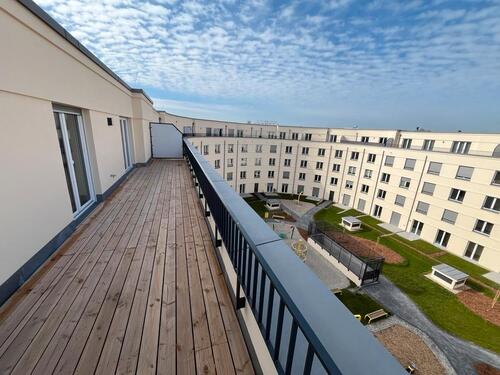 Foto - Einfamilienhaus in Berlin zur Miete