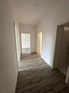 Foto - 3 Zimmer Etagenwohnung zur Miete in Chemnitz