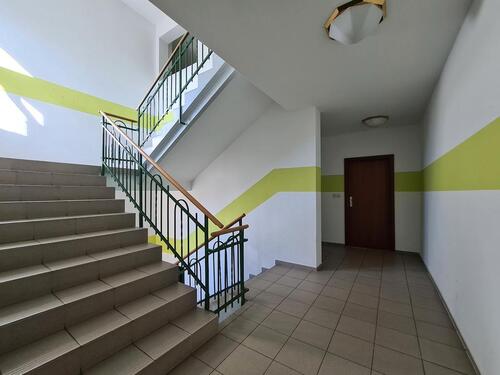 Foto - Etagenwohnung in Chemnitz zur Miete