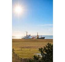 Den Meerblick und die Natur aus 1. Reihe - Norderney