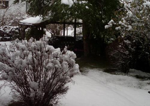 Foto - 3 Zimmer Erdgeschoßwohnung zum Kaufen in Steingaden