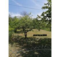 Obstbaumwiese zu verpachten - 25,00&nbsp;EUR Kaltmiete, ca.&nbsp; 0,00&nbsp;m&sup2; in Metzingen (PLZ: 72555)