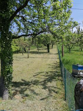 Foto - Grundst&uuml;ck zur Miete in Metzingen