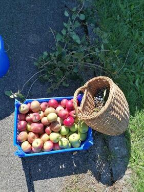 Foto - Grundst&uuml;ck in Metzingen zur Miete
