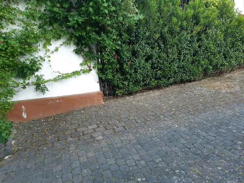 Foto - Parkplatz PKW Stellplatz zu vermieten 55413 Oberdiebach