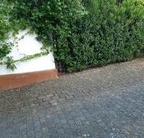 Parkplatz PKW Stellplatz zu vermieten 55413 Oberdiebach - Weiler bei Bingen Parkplatz PKW Stellplatz zu vermieten 55413 Oberdiebach - Weiler bei Bingen