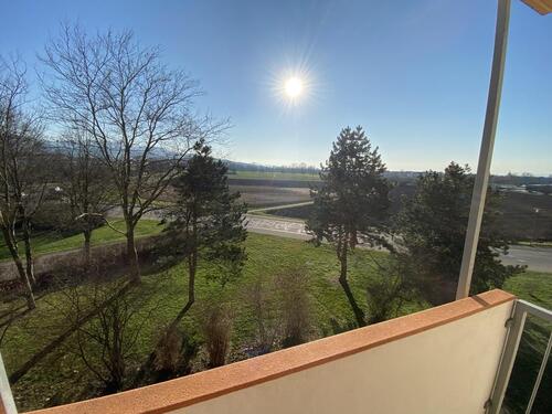 Foto - 1 Zimmer Etagenwohnung zur Miete in March