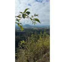 Helles möbliertes WG-Zimmer 16 qm am Elbradweg in Königstein