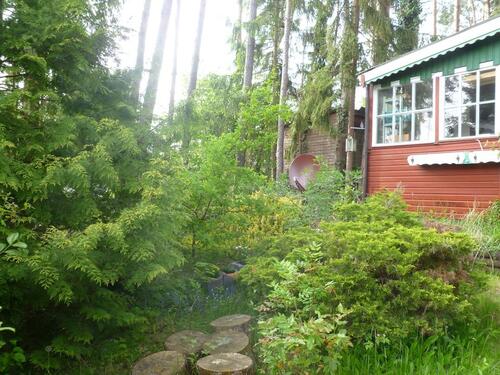 Foto - 3 Zimmer Einfamilienhaus in Melbeck