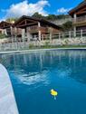 Foto - 3-zimmer-wohnung Gardasee mit Seeblick