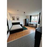 City Apartment an der TH Ohm FAU & Whd See möbliert – Dürrenhof - Nürnberg Gleißhammer