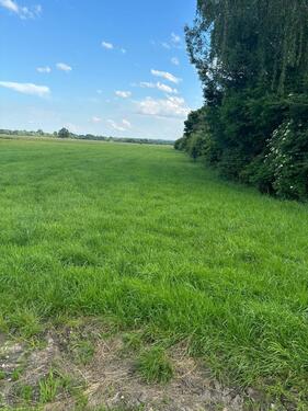 Foto - Grünland Wiese 0,47 ha - 4708 qm – 2 Flurstücke Sontheim Brenz