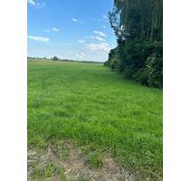 Grünland Wiese 0,47 ha - 4708 qm – 2 Flurstücke Sontheim Brenz - Sontheim an der Brenz