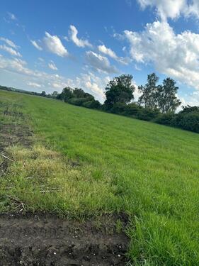 Foto - Grundst&uuml;ck zum Kaufen in Sontheim an der Brenz