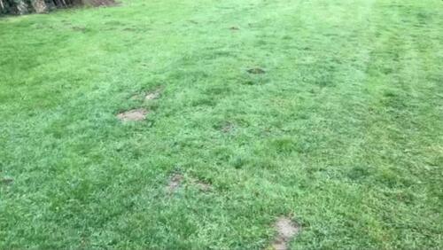 Foto - Garten von privat zu verpachten