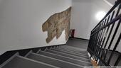 Foto - Etagenwohnung in Zittau zur Miete