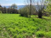 Foto - sonniges Wochenendgrundstück überm Remstal kostenlos zu pachten