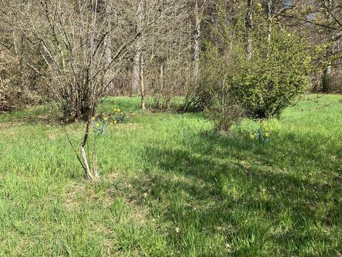 Foto - Grundst&uuml;ck zur Miete in Kernen im Remstal
