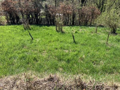 Foto - Grundst&uuml;ck in Kernen im Remstal