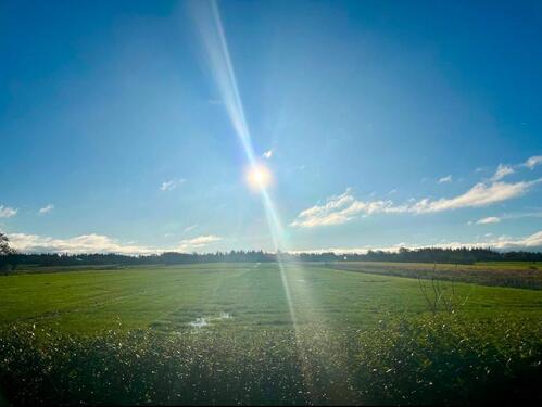 Foto - Doppelhaushälfte in Bredstedt zum Kaufen