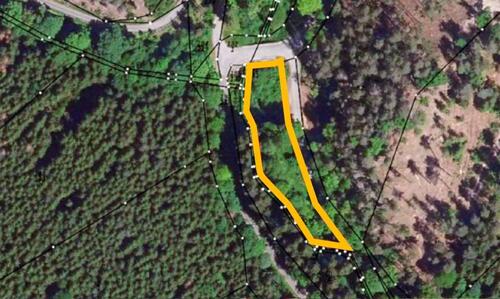 Foto - AUKTION: Waldfläche unweit der Talsperre