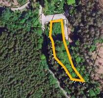 AUKTION: Waldfläche unweit der Talsperre - Pößneck