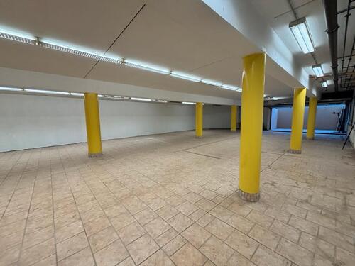 Foto - andere in Rüsselsheim am Main