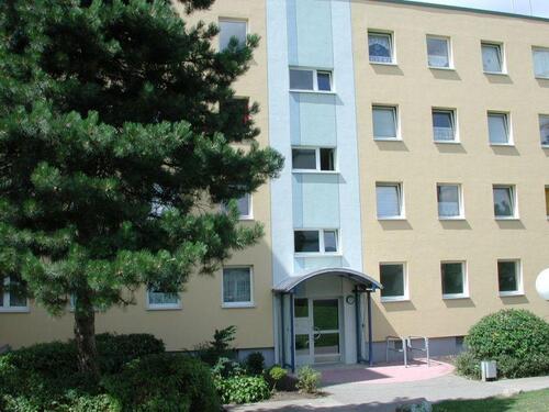 Foto - Ihre neue, renovierte 2-Zimmer-Wohnung