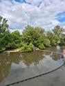 Foto - 2-Zimmer-Wohnung mit Blick auf die Regnitz