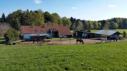 Foto - Pferdehof,Teilvermietung,55qm NR Wohnung,Stall und Weiden,ca 2 Ha