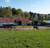 Pferdehof,Teilvermietung,55qm NR Wohnung,Stall und Weiden,ca 2 Ha - Jandelsbrunn