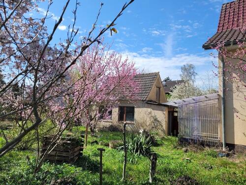 Foto - Einfamilienhaus in Königs Wusterhausen zum Kaufen