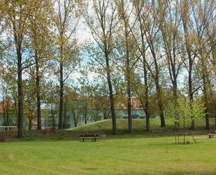 1 Raum-Wohnung, 45 m², Westseite - mit Terrasse im schönen Park - Magdeburg Diesdorf