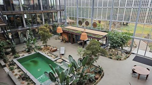 Foto - Büro mit Co- Working Fläche und Indoor Garten