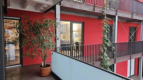 Foto - andere in Schutterwald