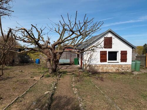 Foto - Garten Pacht-Garten Schrebergarten