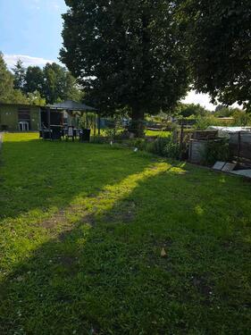 Foto - schöne Garten in Luckenwalde abzugeben