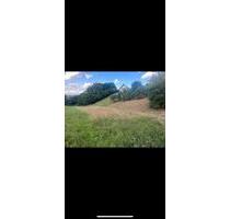 Grundstück am Waldrand - 150,00 EUR Kaltmiete, ca.  0,00 m² in Aschaffenburg (PLZ: 63743) Gailbach