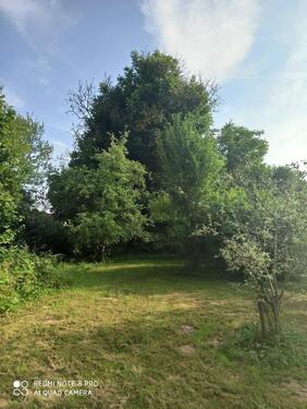 Foto - 8 Zimmer Einfamilienhaus in Bodenfelde