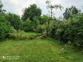 Foto - Einfamilienhaus in Bodenfelde zum Kaufen