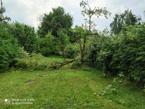 Foto - Einfamilienhaus in Bodenfelde zum Kaufen
