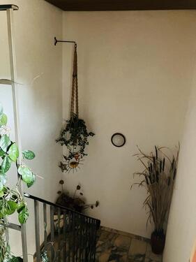 Foto - 6 Zimmer Einfamilienhaus in Düngenheim