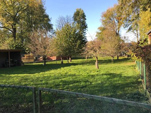 Foto - 8 Zimmer Einfamilienhaus in Lastrup