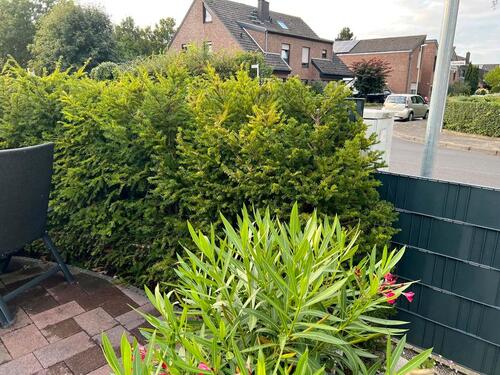 Foto - Sonniges Bungalow von Privat zu verkaufen - Mönchengladbach-Hardt