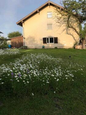 Foto - 7 Zimmer Doppelhaushälfte in Emmering