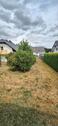 Foto - 5 Zimmer Einfamilienhaus in Bundenbach
