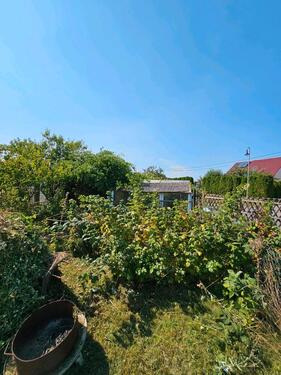 Foto - Einfamilienhaus in Nordhausen zum Kaufen