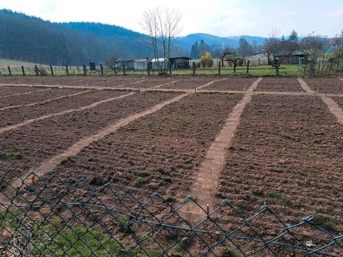Foto - Miete dein Beet - 150,00&nbsp;EUR Kaltmiete, ca.&nbsp; 0,00&nbsp;m&sup2;