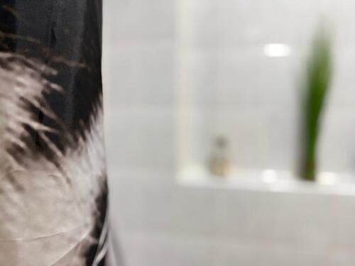 Foto - Etagenwohnung in Erfurt zur Miete