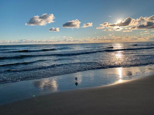 Foto - Rügenurlaub Sellin Ferienwohnung Sommer 2026